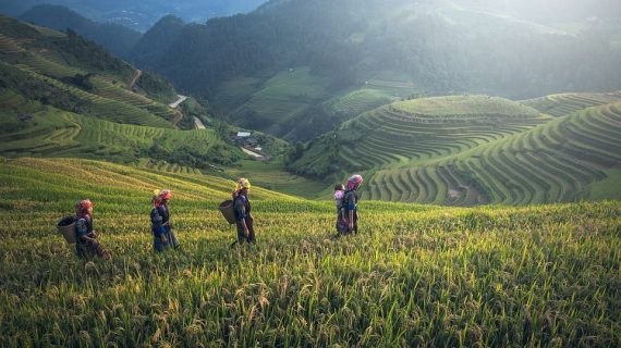 Tropical Paradise: Uncovering Bali’s Best Beaches