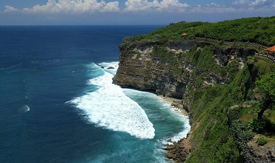 Pedal Through Paradise: Discover Ubud on Two Wheels