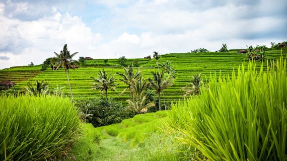 10 Hidden Gems in Ubud You Must Discover