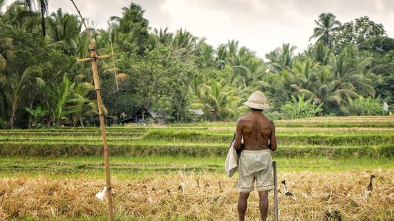 Chasing Dawn: Exploring Bali’s Breathtaking Sunrise Hikes