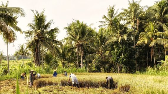 Discover Paradise: Your Ultimate Guide to Gili Island Tours from Bali