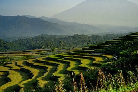 Discover the Heart of Bali: Top 10 Unmissable Attractions in Ubud