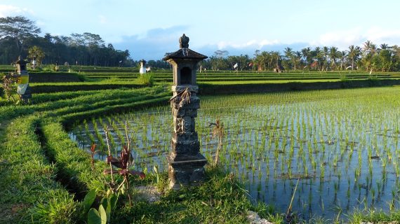 Ubud Uncovered: 10 Must-See Gems in Bali’s Cultural Heart