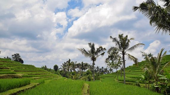 Island Hopping Made Easy: Unforgettable Boat Tours Around Nusa Penida