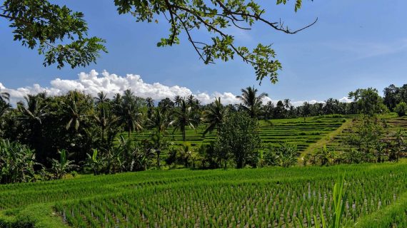 Island Hopping in Bali: Your Guide to the Best Day Trips