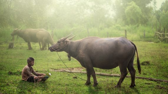 Unveiling the Gili Islands: Top Tours from Bali You Can’t Miss