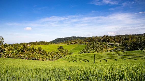 Explore Bali’s Iconic Beaches: From Kuta to Nusa Dua