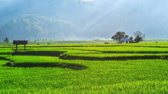 Climbing to New Heights: Experience Bali’s Volcano Adventures