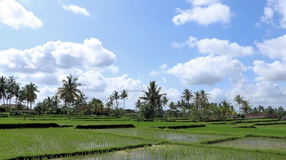 Savor Every Moment: Top All-Inclusive Getaways in Bali