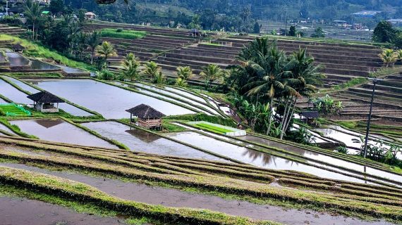 Exploring Nusa Penida: Your Ultimate Travel Route from Ubud