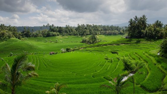 A Local’s Guide: The Best Day Tours in Bali You Can’t Miss